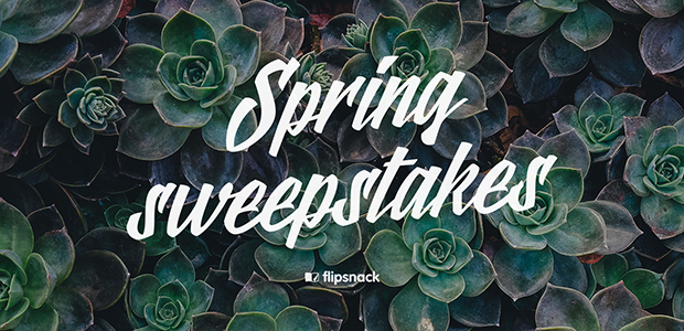 Spring sweepstakes