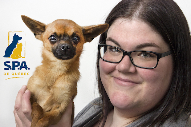 animal shelter promo ideas