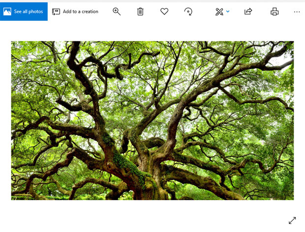merge PDF Edge browser