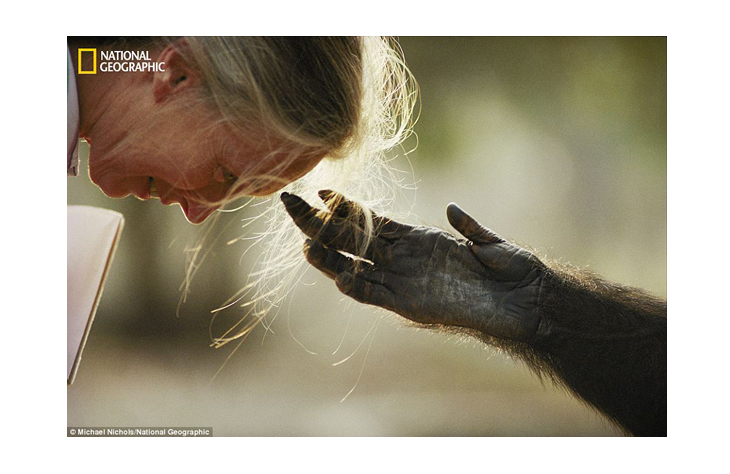 image national geographic