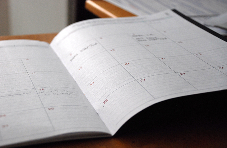 project schedule