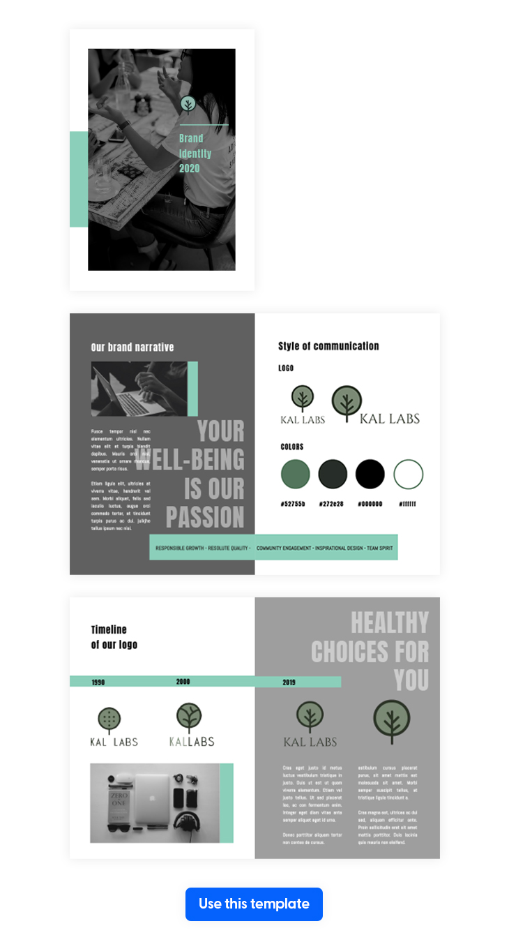  Beautiful Brand Identity Template from Flipsnack 