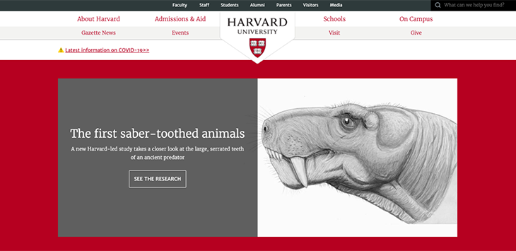 harvard website homepage