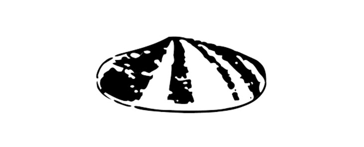 shell first logo