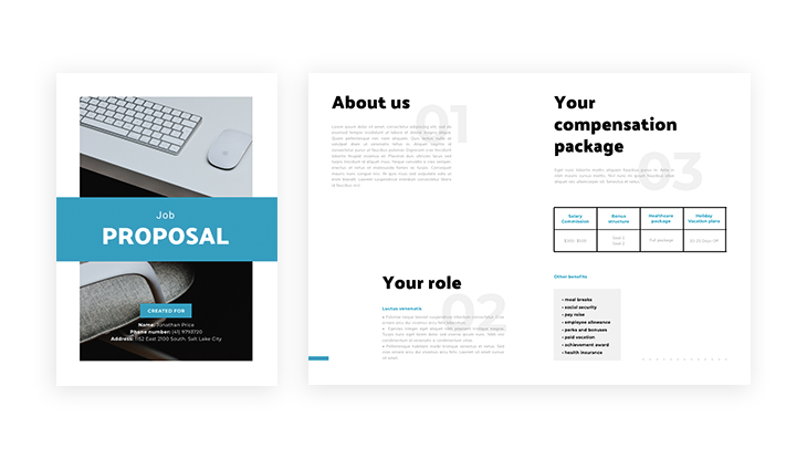 Professional Job Proposal Example