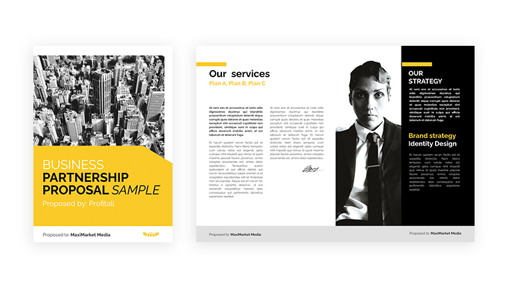 Business Partnership Proposal Sample