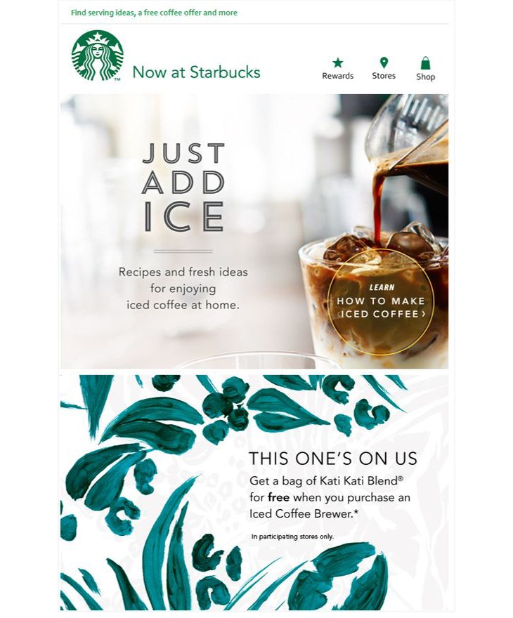 Email newsletter example