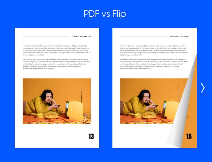 PDF and flipbook comparison