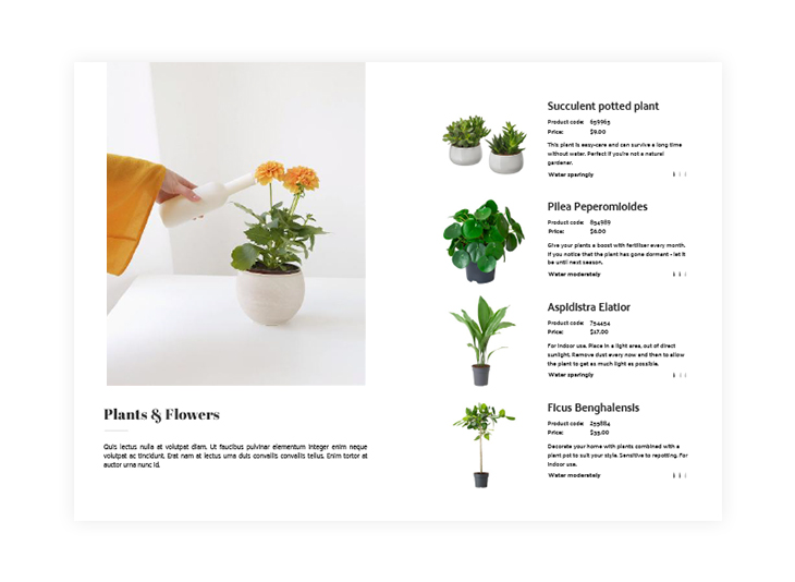 professional photos in a product catalog design example