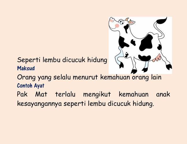 seperti lembu dicucuk hidung