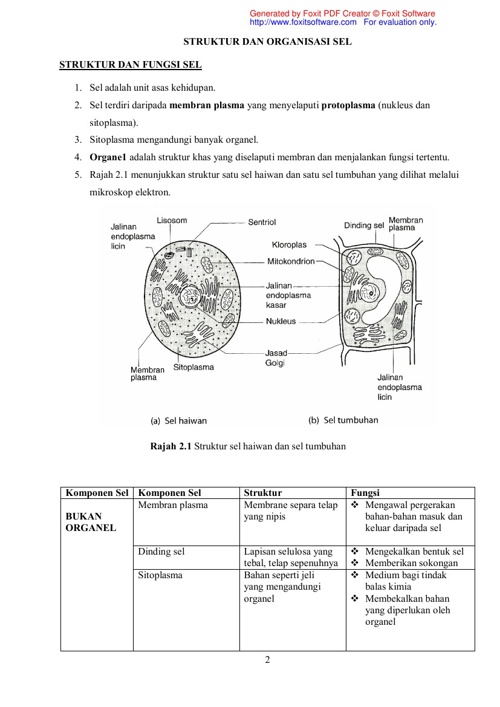 Copy Of Sel Dan Struktur Organel By Devika Flipsnack