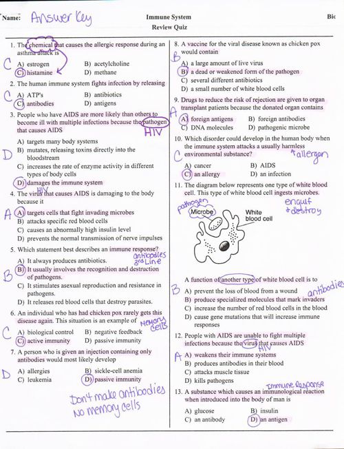 immunity-and-disease-worksheet