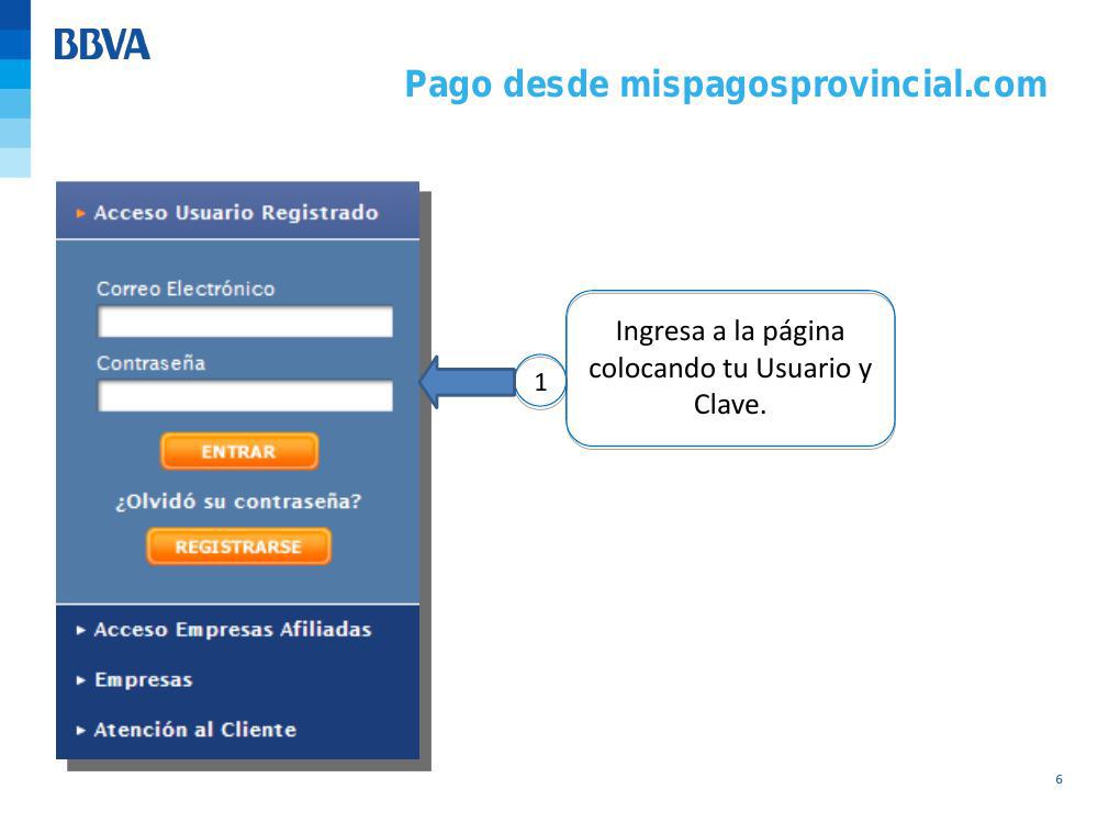 Manual De Registro Mis Pagos Provincial