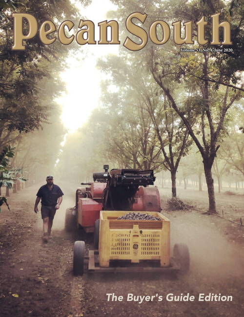 Pecan South, June 2020