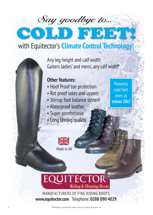 equitector steel toe boots