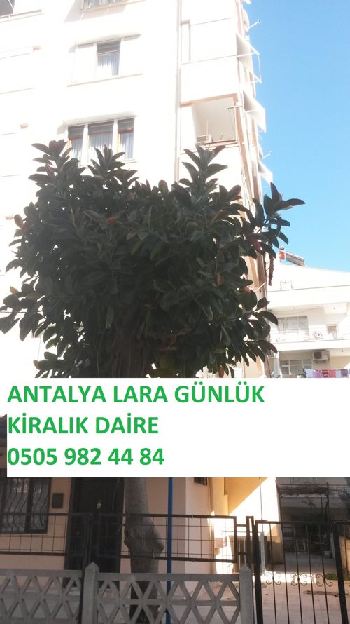 antalya gunluk kiralik ev daire antalyagnlkkiralkevdaire flipsnack