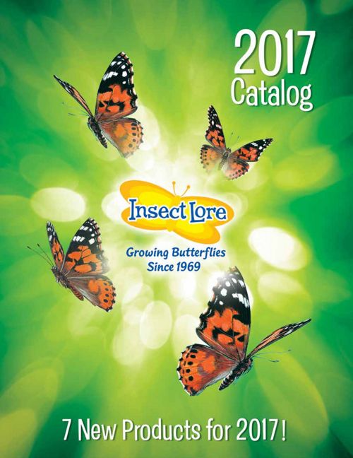 Insect Lore Insectlore Flipsnack
