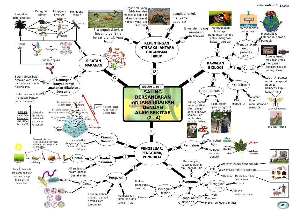 Sains Peta Minda Tingkatan 2