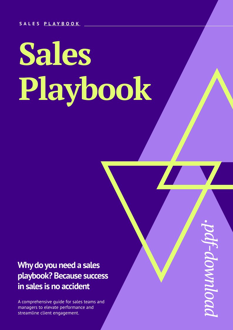 Esempio di playbook commerciale dall'aspetto professionale