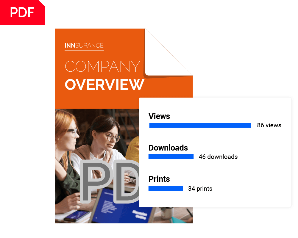 Statistiques limitées pour les fichiers PDF