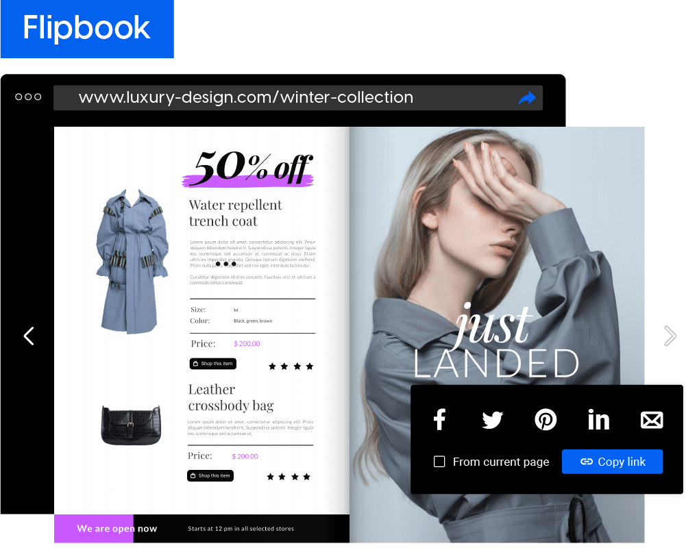 Options de partage de Flipsnack