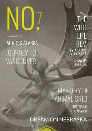 Desing de magazine d'art