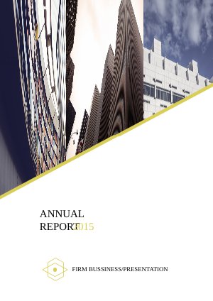 Business Annual Report Design