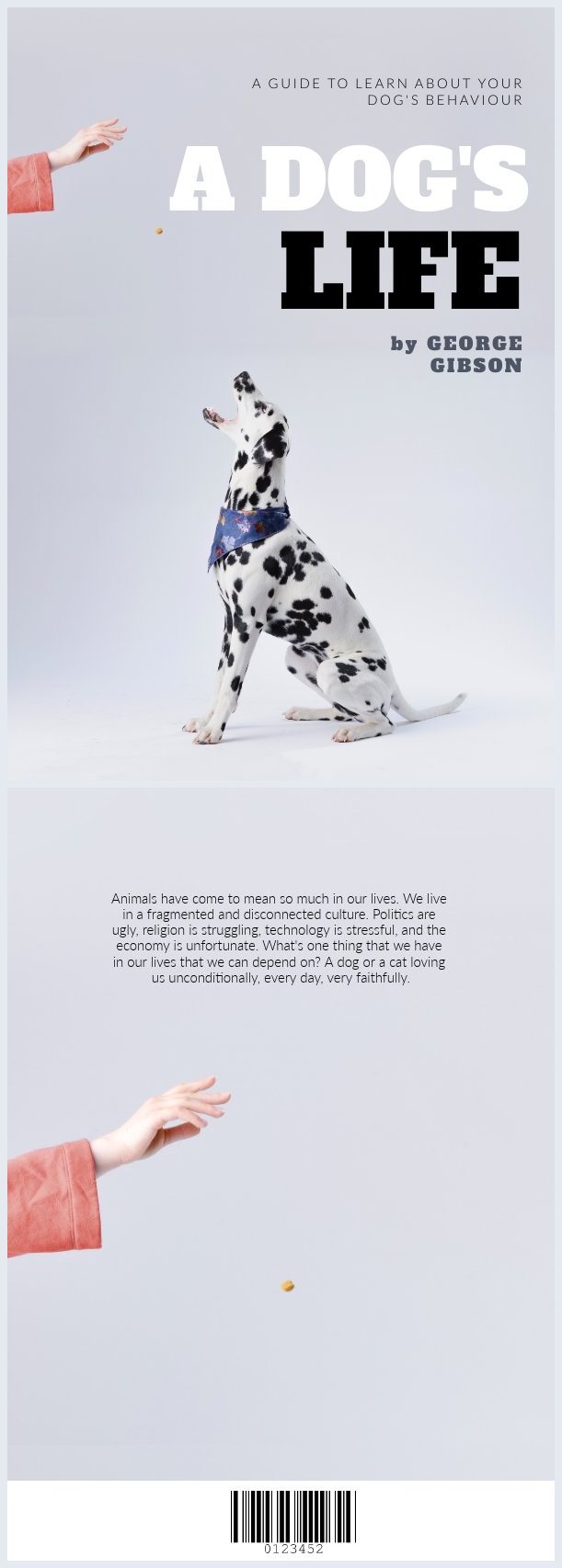 Hundetraining Buchcover