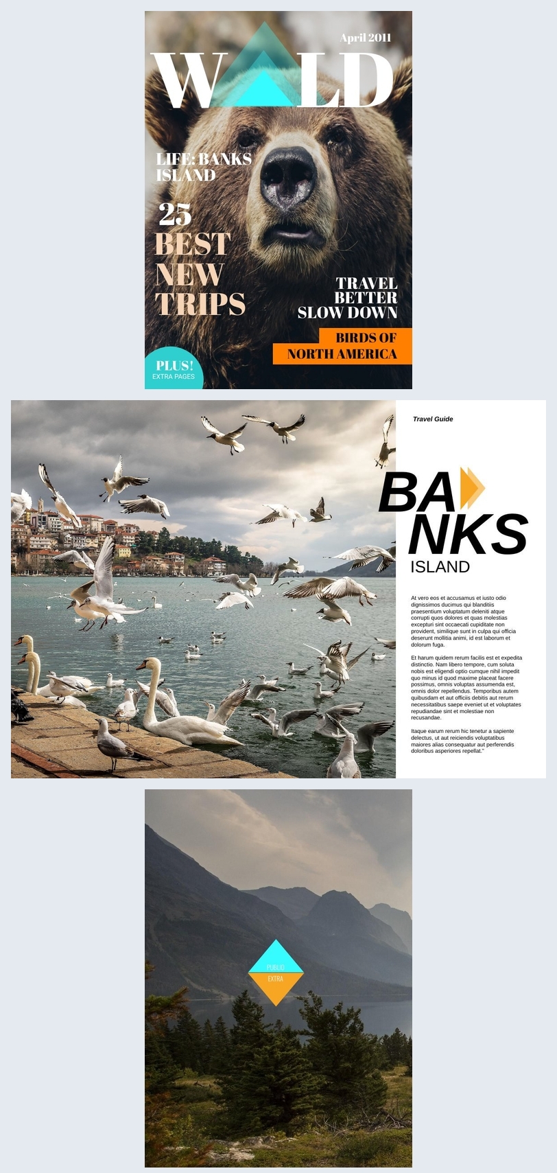 Cover Vorlage Fur Ein Wildlife Magazine Flipsnack