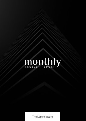 Black And White Monthly Report Example