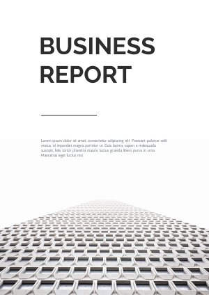 Black & White Business Report Design
