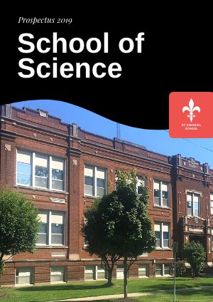 Plantilla para diseño de prospectos