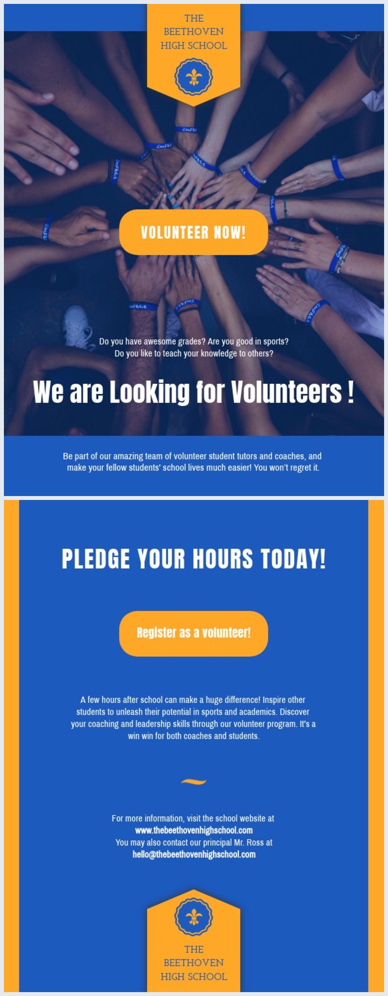 Volunteer Flyer Template Free