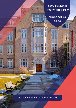 Plantilla para diseño de prospecto