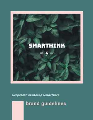 Modelo de Diretrizes de Marca