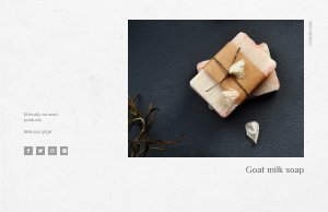 Professional Product Bi-Fold Brochure Design