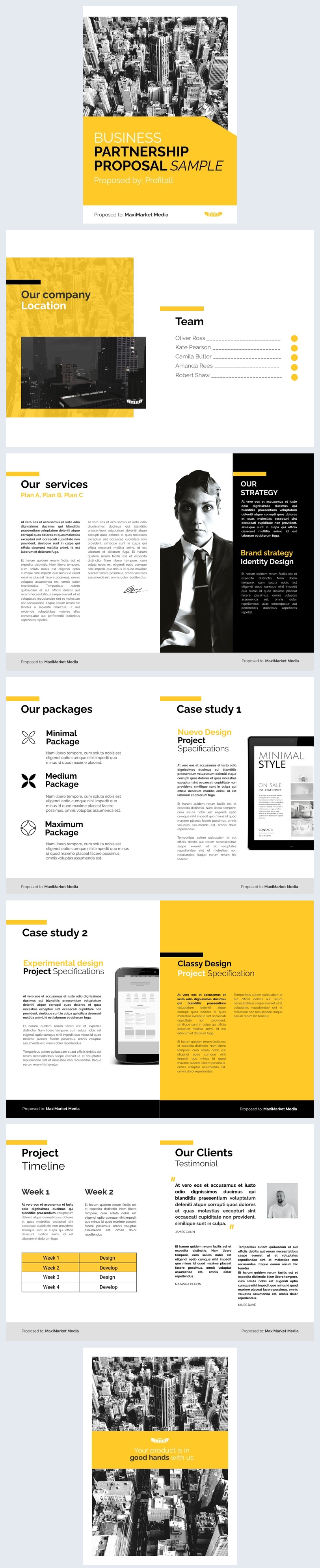 Customizable Business Partnership Proposal Sample Flipsnack