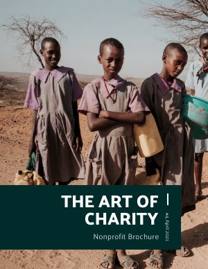 Interactive Non Profit Brochure Design Example