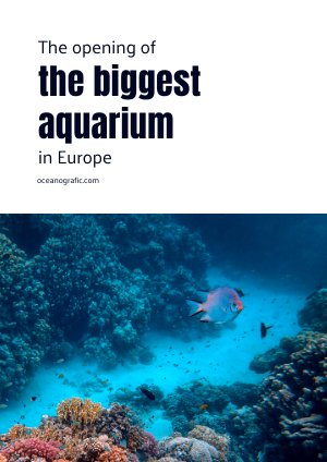 Design de brochure d'événement et divertissement