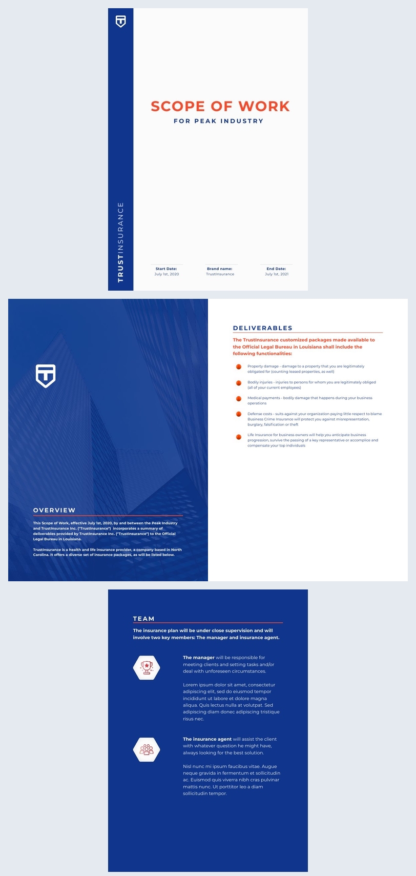 Insurance Scope of Work Template - Flipsnack