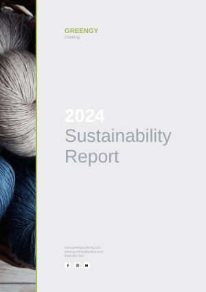 Online Sustainability Report Example
