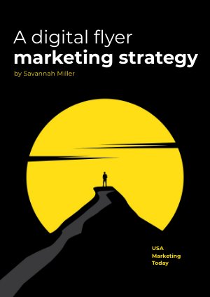 Online Marketing Strategie E-book Voorbeeld