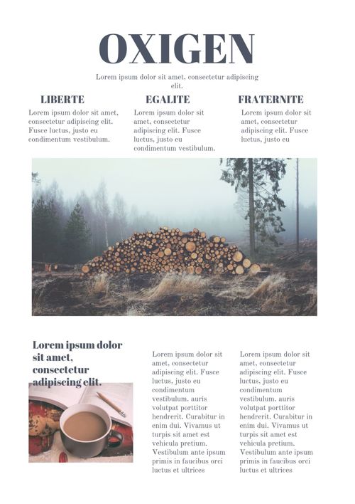 Diseño para periódico en línea