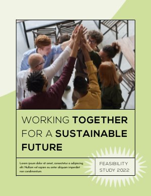 Exemplo de Estudo de Viabilidade Profissional