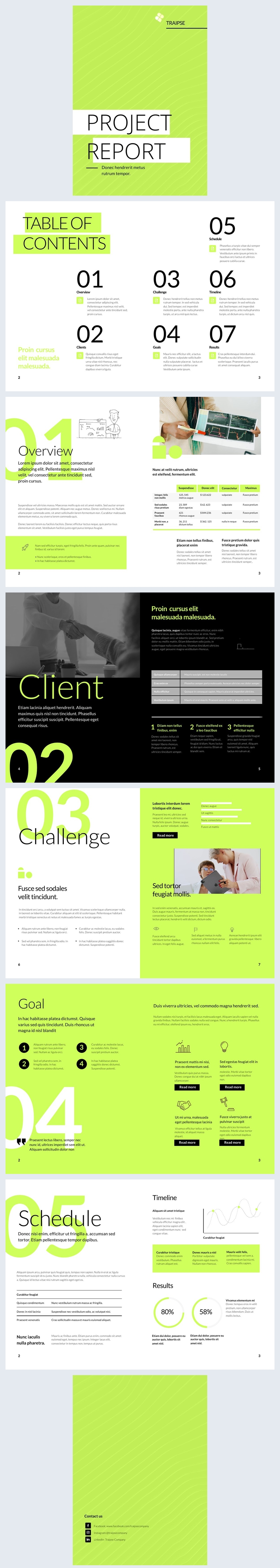 Interactive Project Report Layout Example