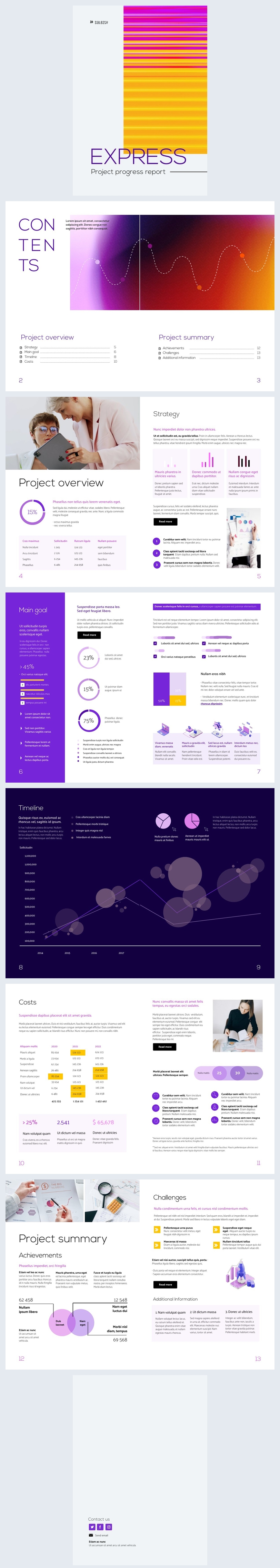 Customizable Project Progress Report Template - Flipsnack