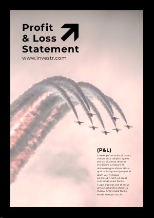 Exemplo de Demonstração de Lucros e Perdas