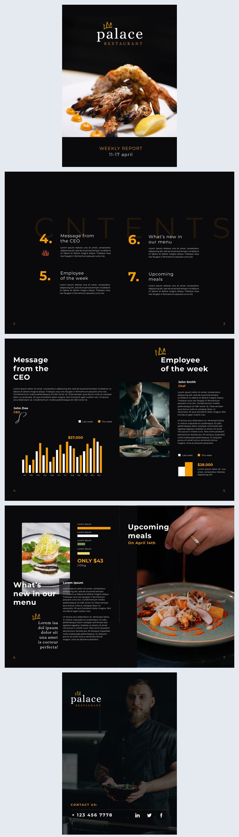 Weekly Report Format Example