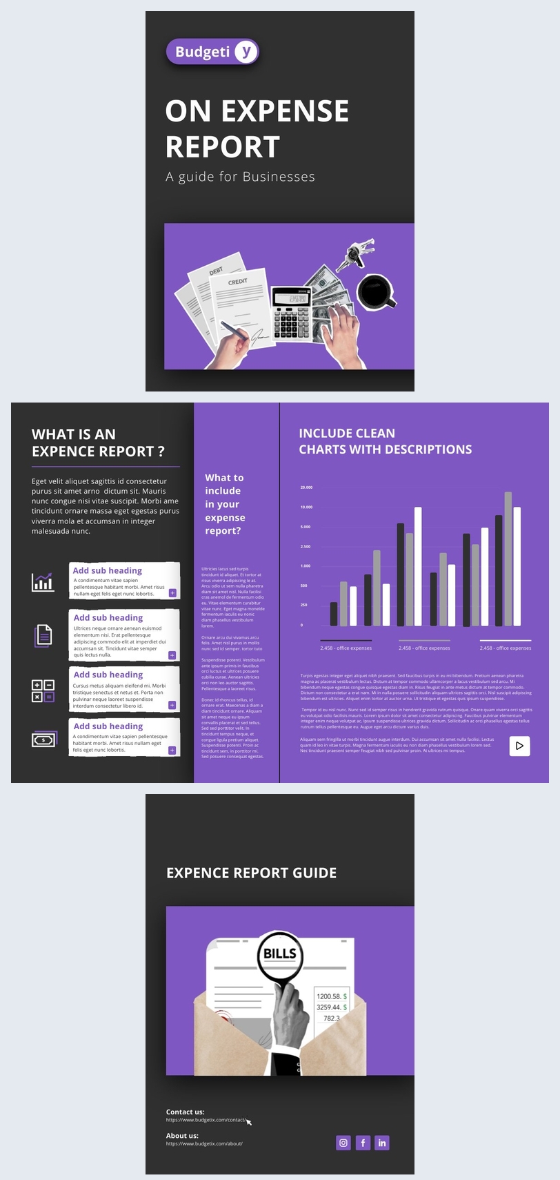 Expense Report Sample