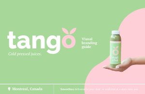 Branding Guide Example